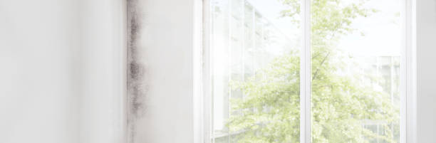 Forensic Mold Investigation in Blue Jay, OH